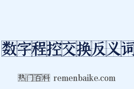 数字程控交换反义词是什么意思的图片